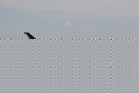 110630_7081gw.JPG