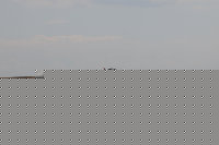 110630_7083gw.JPG