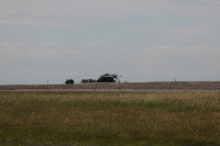 110630_7129gw.JPG